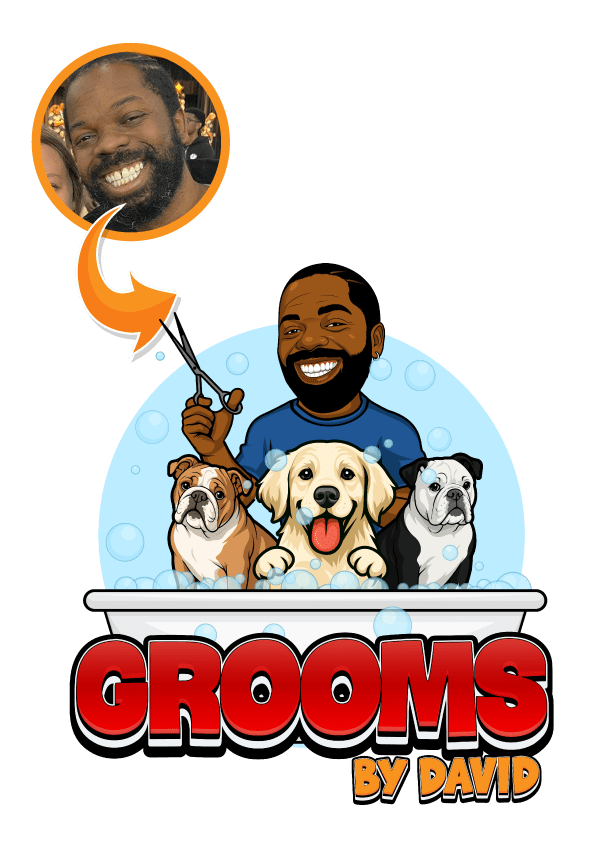 Custom Cartoon Portrait Logo - Grooms by David