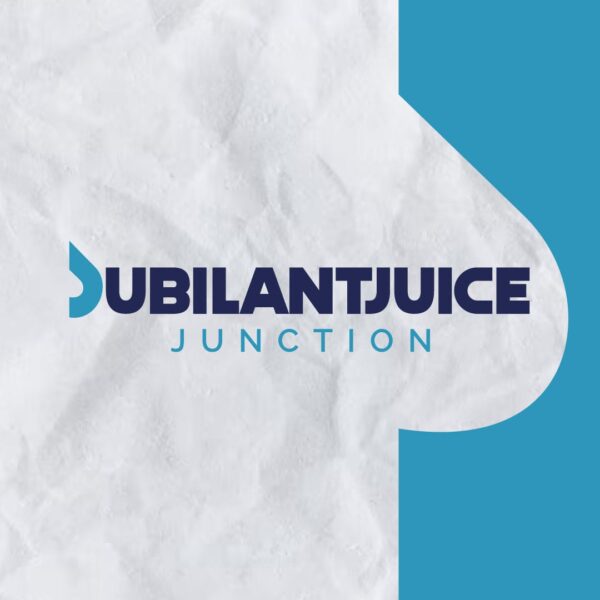 junction wordmark logo design