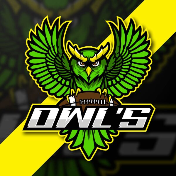 Owl Mascot Logo Design