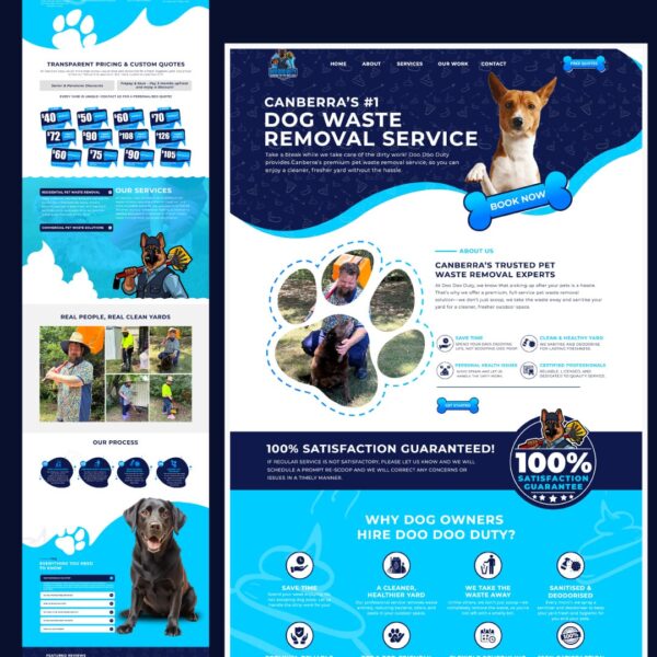 business website design